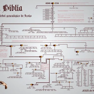 Árbol genealógico completo de la Biblia con la cronología visual de los linajes sagrados desde el Génesis hasta Jesucristo.